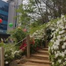 검배로59번길 이미지