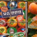 영감영감