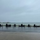 1647 | [제주여행] 제주여행 4박5일 3일차(비오는날 일정,안돌오름,안도르카페,고등어회)