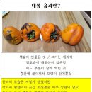 장미향 대봉-4번(흠과) 깜짝 세일(미리 선점 필수~) 이미지