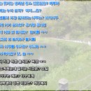 유모아 이미지