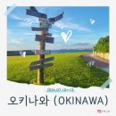 대성산업(주) 안산공단주유소 | 오키나와 3박4일 자유 여행 준비 항공사 경비 유심 국제운전면허증 발급 빌린다 렌트카 업체 비용 정리