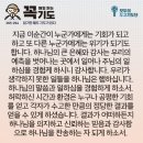 콩깍지
