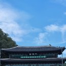 하녹달 | 여름휴가2일차_안동 하녹집/유교랜드/월영교/맘모스