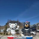 [파크로쉬 리조트앤웰니스]강원도 정선 힐링 및 태교 여행 추천