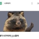 부장님이랑 같이 보면 승진가능한 BJ누나 이미지