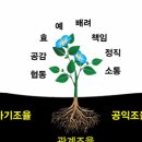 집단지성 시대가 요구하는 공부 이미지