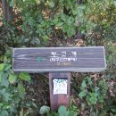 이티봉 이미지