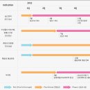 인간 유도 만능줄기세포 오가노이드 전문기업 넥셀 이미지