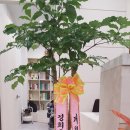 신영통경희한의원 이미지