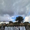 숲속 빵마을 카페 뻐터우드 | 아이들과 제주도 2박3일 여행 2일차 제주동화마을 스타벅스 리저브 도토리숲 후기