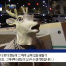 제천중학교 이미지