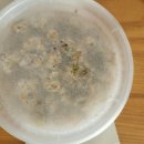 멍이방앗간 이미지