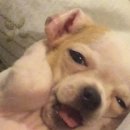 꿀잠 이미지