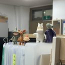 권박사안경 이미지