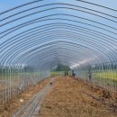 부발연세의원 이미지