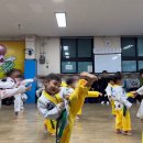 경희대정석태권도