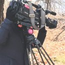 서산태양광발전소 이미지