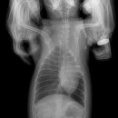 의정부24시IU동물병원 이미지