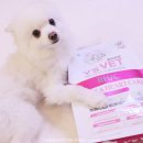 에이치 알 소프트 이미지