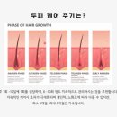 미담장토탈뷰티(프리미엄)