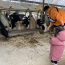 경하목장 이미지