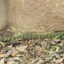 스톤엑스 캠핑장 이미지