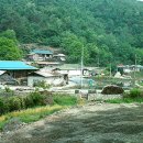 방하목 Daum카페