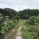 대곡면-8 이미지
