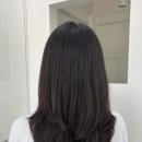 푸르루다