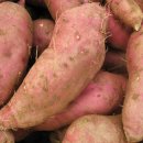 대풍목장 이미지