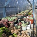 해림농장 이미지