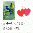 최고주유소 이미지