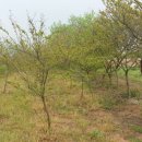 조은땅공인중개사사무소 이미지