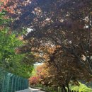 카페좌구산 다나우토바 이미지