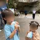 금오산유통 | 트루엔키즈 수분보급젤리 내돈내산후기