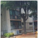 모현주공2단지아파트 이미지