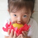 비바리농수산