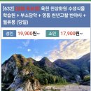 10월29일(당,목)설렘옥보영 옥천천상화원 수생식물학습원,부소담악,영동천년고찰반야사,월류봉 이미지