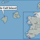 미들아일랜드(middle island) 이미지