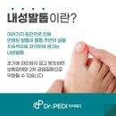 닥터페디&쭈네일