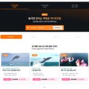 황금슈퍼(2-2) | 괌 돌핀투어 추천 가격 준비물 예약 포함 슈퍼세일 특가