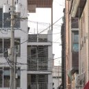 심상치가 안코 증말 시기즉인 일상 개박봉두