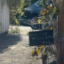 점촌6길 | 울산 빈티지 감성 카페 까페점촌6길 요거트맛집 가성비 브런치세트