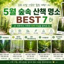 숲속