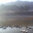 강산공인중개사사무소 이미지