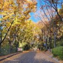 무학산자락쉼터 | 서울 명품 산책 안산 자락길 Ⅱ( 홍제천 인공폭포~물레방아간 ~무악정~봉수대 ) 등산 후기