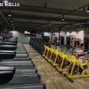 얼라이브휘트니스 이미지
