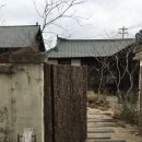 연화카페 이미지