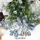 탄생화 이미지